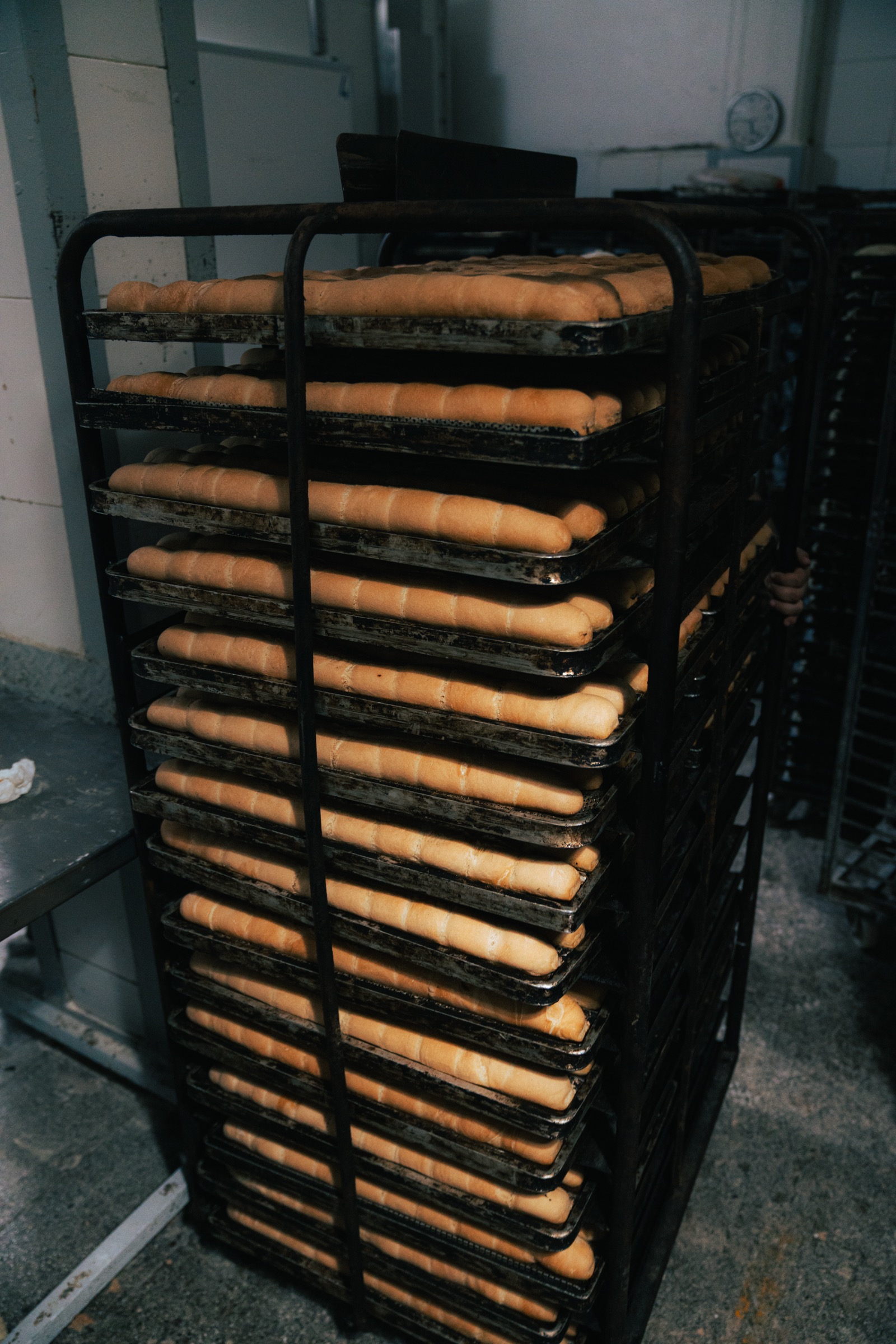 Rack de panchos